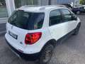 Fiat Sedici 1.9 MJtdDPF 4x4 Luxury Klima Euro4 Fix! Білий - thumbnail 4