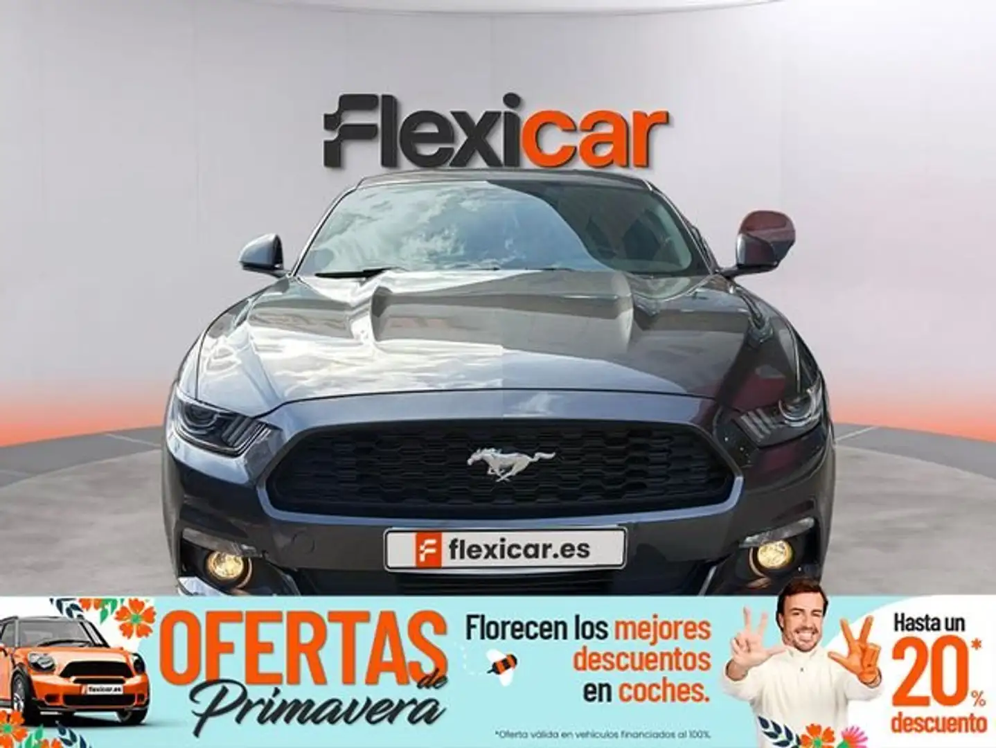 Ford Mustang Fastback 2.3 EcoBoost Grau - 1