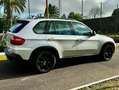 BMW X5 X5 E70 xdrive30d (3.0d) Attiva auto Argento - thumbnail 4