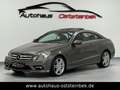 Mercedes-Benz E 250 CDI BLUEEFFICIENCY/AMG-LINE/PANO/XENON/PDC Grau - thumbnail 1