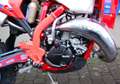 Beta RR 125 RR 125 2T Race | Sportfahrerrabatt möglich Rood - thumbnail 6