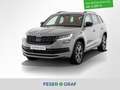 Skoda Kodiaq 2.0 TDI Sportline 4x4 AHK / LED / DAB / PDC / Navi Gris - thumbnail 1