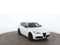 Alfa Romeo Stelvio 2.2 JTDM Veloce Q4 Aut XENON LEDER MEMORY Weiß - thumbnail 6