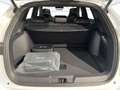 BYD Seal U 1.5 PHEV Comfort 2WD Bianco - thumbnail 4