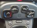 Fiat Panda Panda III 1.0 firefly hybrid PREZZO REALE Zwart - thumbnail 11