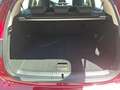 Lexus CT 200h Business Rot - thumbnail 18