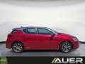 Lexus CT 200h Business Rot - thumbnail 8