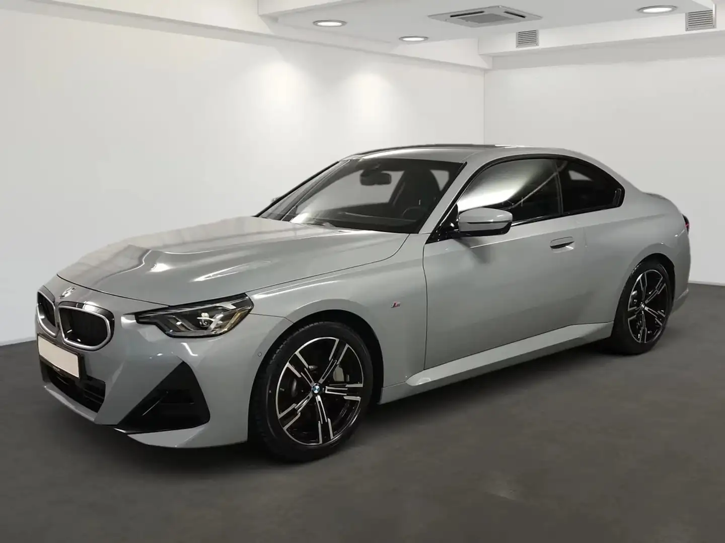 BMW 230 230i Coupe M Sport Gris - 1