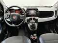 Fiat Panda CROSS 0.9 TWINAIR TURBO 4X4 Blu/Azzurro - thumbnail 12