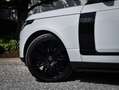 Land Rover Range Rover 3.0 TDV6 Vogue / Glacier White / Black Pack Bianco - thumbnail 5