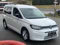 Volkswagen Caddy Caddy 2,0 TDI / Pickerl & Service NEU / Weiß - thumbnail 3