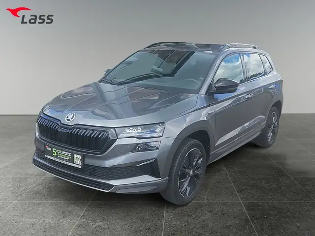 Skoda Karoq view 2