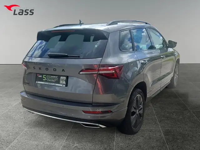 Skoda Karoq view 6