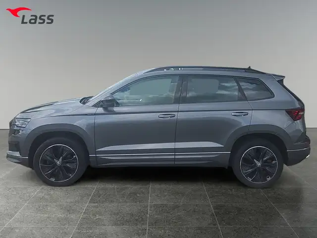 Skoda Karoq view 3