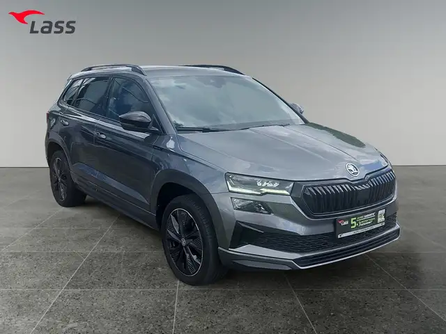 Skoda Karoq view 8