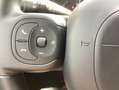 Fiat Panda 1.0 Hyb. Garmin Verde - thumbnail 15