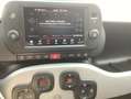 Fiat Panda 1.0 Hyb. Garmin Verde - thumbnail 14