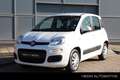 Fiat Panda 0.9 TwinAir Edizione Cool | Airconditioning | Cent Weiß - thumbnail 1