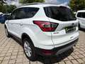 Ford Kuga 1.5 Trend KLIMA*SHZ*PDC*ALU17*PARK-ASSISTENT Wit - thumbnail 5