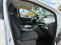 Ford Kuga 1.5 Trend KLIMA*SHZ*PDC*ALU17*PARK-ASSISTENT Wit - thumbnail 20