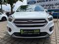 Ford Kuga 1.5 Trend KLIMA*SHZ*PDC*ALU17*PARK-ASSISTENT Wit - thumbnail 22