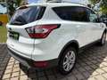 Ford Kuga 1.5 Trend KLIMA*SHZ*PDC*ALU17*PARK-ASSISTENT Wit - thumbnail 6