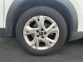 Citroen C5 AIRCROSS BlueHDi 130 SS EAT8 Live Bianco - thumbnail 16