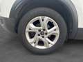 Citroen C5 AIRCROSS BlueHDi 130 SS EAT8 Live Bianco - thumbnail 17