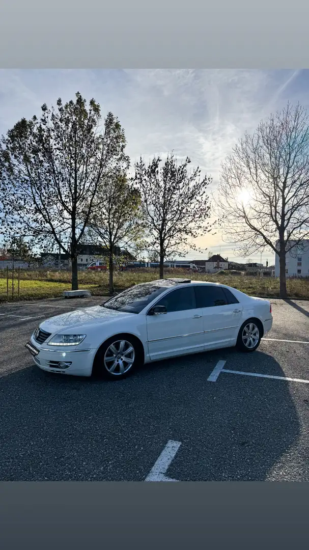 Volkswagen Phaeton *ACC*SOFTCLOSE*MASSAGE* - 2