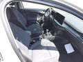Ford Focus Active 1.0T EcoBoost mHEV 92kW 125CV - thumbnail 23