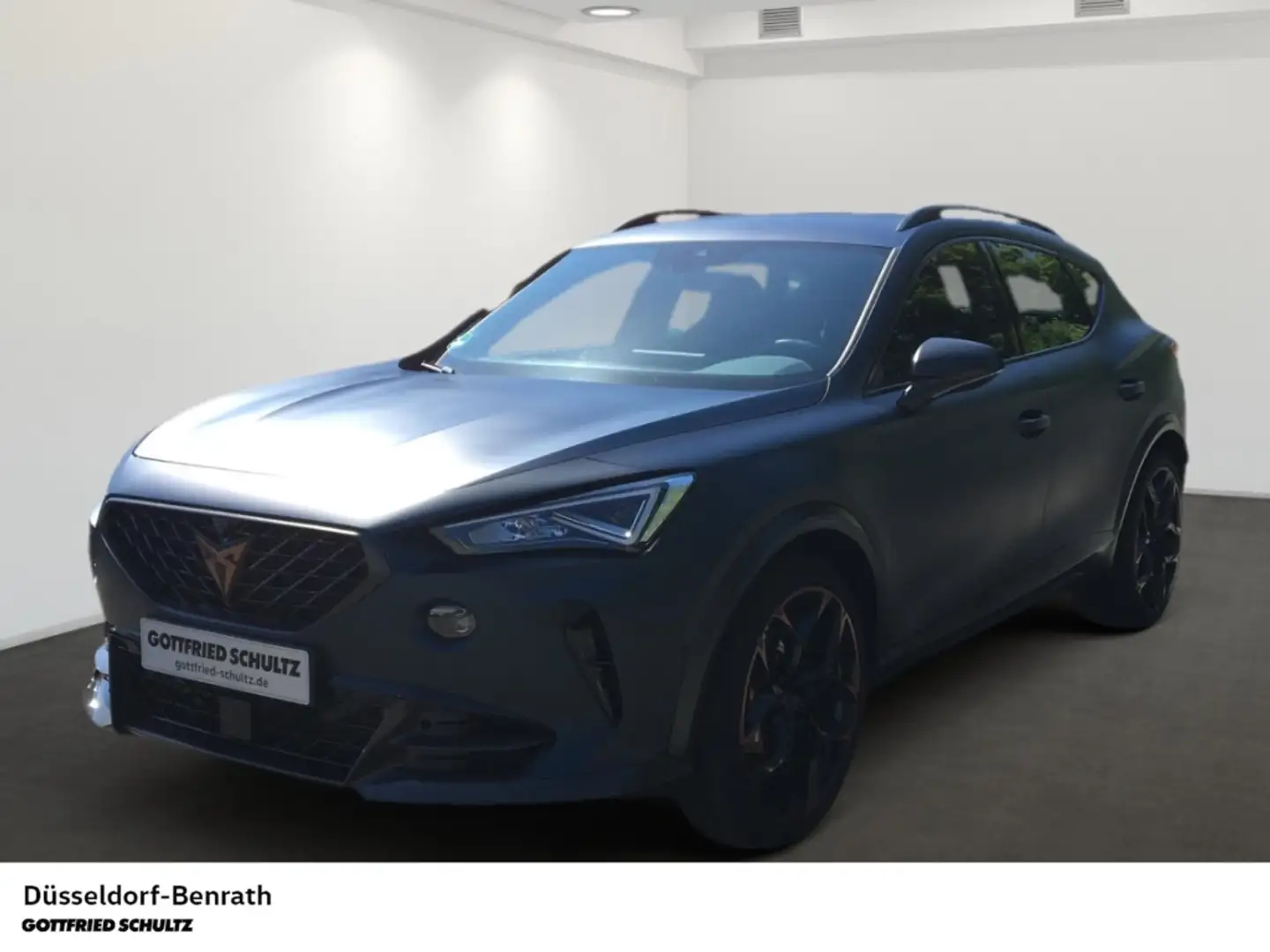 CUPRA Formentor VZ5 4Drive Matrix Leder Einparkhilfe Full-Link Blau - 1