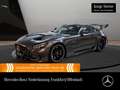 Mercedes-Benz AMG GT Cp. Keramik Carbon Perf-Abgas Burmester Grau - thumbnail 1