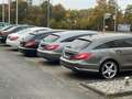 Mercedes-Benz CLK 200 K. Cabrio/Elegance/Leder/PTS/SHZ/2.Hand Schwarz - thumbnail 12