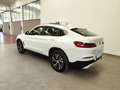 BMW X4 xDrive20d 48V auto Tetto Navi Cruise CarPlay DAB Bianco - thumbnail 9