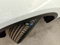 BMW X4 xDrive20d 48V auto Tetto Navi Cruise CarPlay DAB Bianco - thumbnail 44