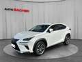 Lexus NX 300h Lexus NX300H Executive Weiß - thumbnail 1