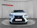 Lexus NX 300h Lexus NX300H Executive Weiß - thumbnail 2