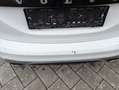 Volvo V60 V60 D3 Momentum R-Design Weiß - thumbnail 6