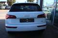 Audi Q5 40 2.0 TDI quattro sport S-tronic Leder/Alc. 20Zol Weiß - thumbnail 6