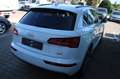 Audi Q5 40 2.0 TDI quattro sport S-tronic Leder/Alc. 20Zol Weiß - thumbnail 7