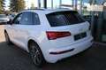 Audi Q5 40 2.0 TDI quattro sport S-tronic Leder/Alc. 20Zol Weiß - thumbnail 5