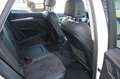 Audi Q5 40 2.0 TDI quattro sport S-tronic Leder/Alc. 20Zol Weiß - thumbnail 10