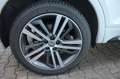 Audi Q5 40 2.0 TDI quattro sport S-tronic Leder/Alc. 20Zol Weiß - thumbnail 8
