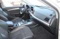 Audi Q5 40 2.0 TDI quattro sport S-tronic Leder/Alc. 20Zol Weiß - thumbnail 9
