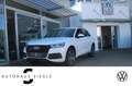 Audi Q5 40 2.0 TDI quattro sport S-tronic Leder/Alc. 20Zol Weiß - thumbnail 1