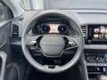 Skoda Karoq 2,0 TDI 4x4 DSG Selection Grau - thumbnail 11