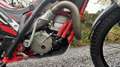 Gas Gas TXT 300 modele GP - thumbnail 6