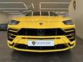 Lamborghini Urus V8 Bi Turbo DSG Giallo - thumbnail 6