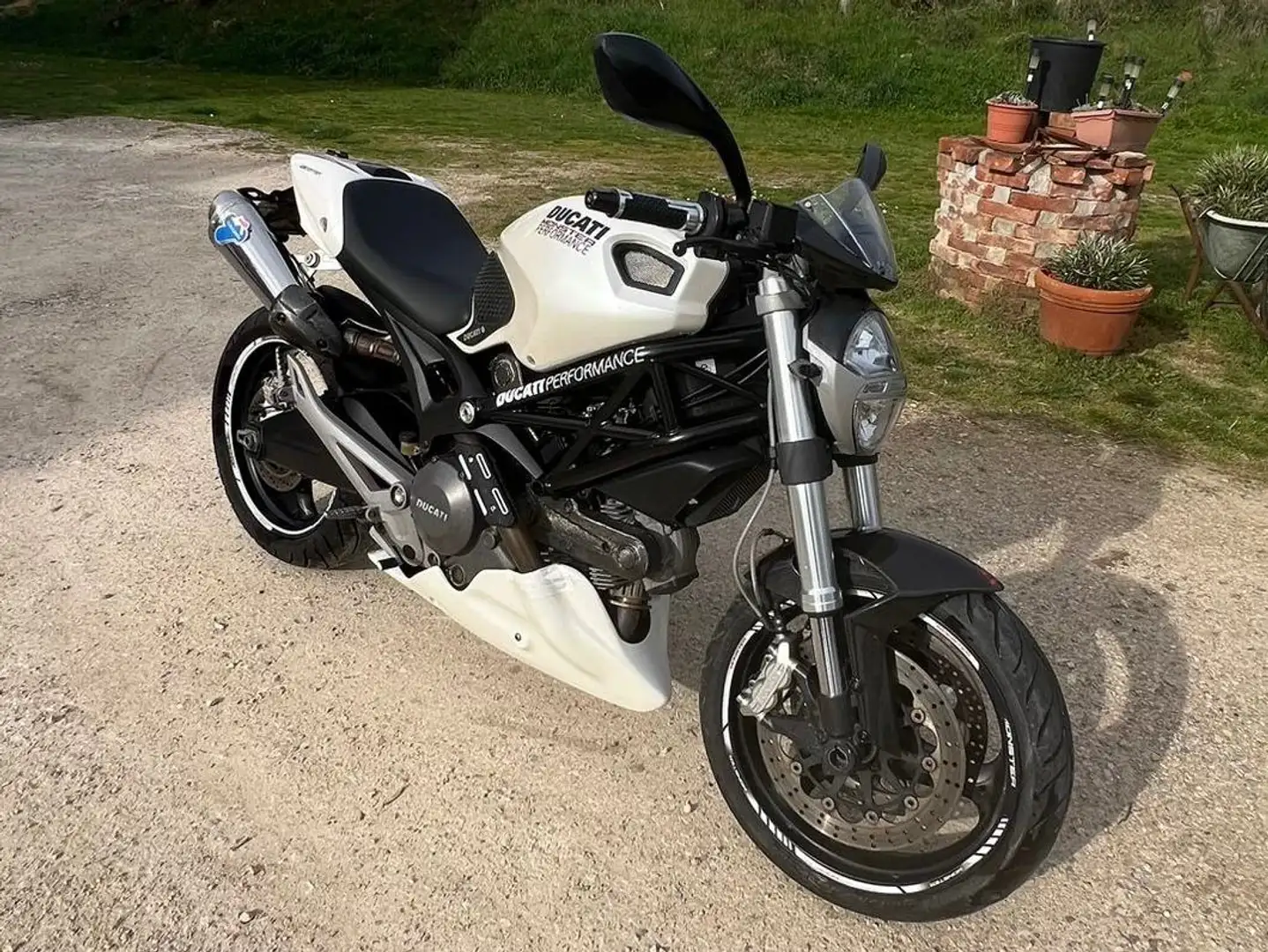 Ducati Monster 696 + White - 2