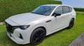 Mazda CX-60 CX-60 3.3L e-SKYACTIV D HOMURA CON/DRI Aut. Homura CON/DRI Weiß - thumbnail 10